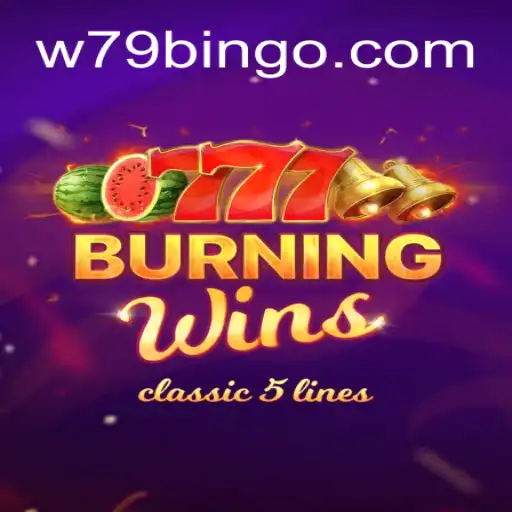Exploring the Excitement of BurningWins